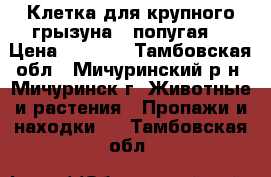 Клетка для крупного грызуна , попугая  › Цена ­ 1 500 - Тамбовская обл., Мичуринский р-н, Мичуринск г. Животные и растения » Пропажи и находки   . Тамбовская обл.